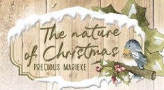 The Nature of Christmas