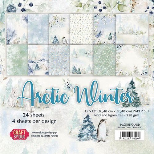 Craft&amp;You Arctic Winter Small Paper Pad 6x6 36  CPB-AW15