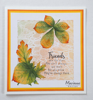 Clear stamp - Tiny&#039;s Leaves set &nbsp;TC0876