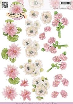 Wit roze bloemen