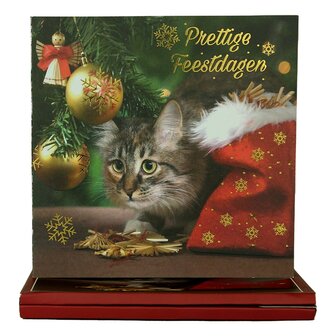 World of Craft - Set van 8 Kerstkaarten en Enveloppen met Nederlandse teksten Box 1 BOX01