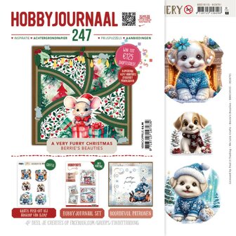 SET Hobbyjournaal 247 SETHJ247