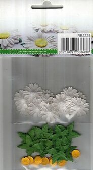 Flowers-Daisies-Marianne-design RB2225