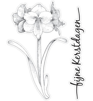 Marianne design, Clear Stamp CS0829 - Amaryllis