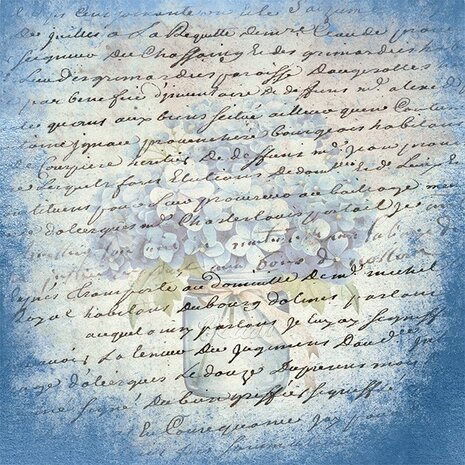 Paperpack - Berries Beauties - Blue Meadow 20 x 20 cm BBPP10022