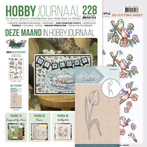 SET Hobbyjournaal 228 SETHJ228