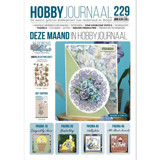 Hobbyjournaal 229 HJ229