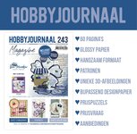 Hobbyjournaal 243 HJ243