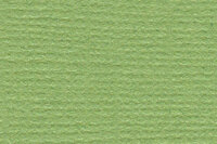 Bazzil canvas leapfrog