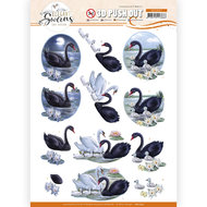 3D Push Out - Amy Design - Elegant Swans - Black swans SB10647