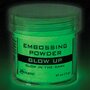 Ranger Embossing Powder 34ml - Glow up EPJ79095